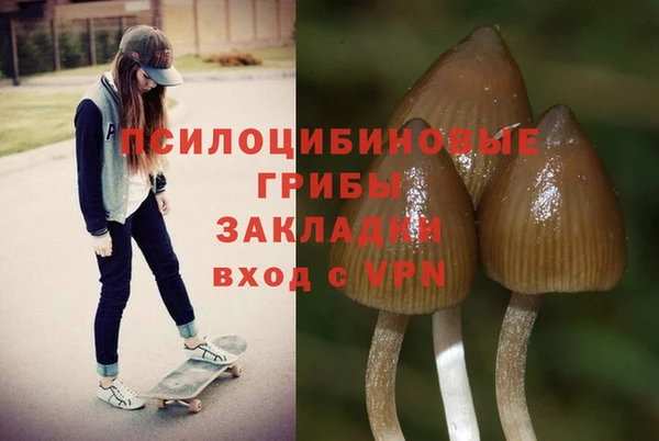 mix Вязьма